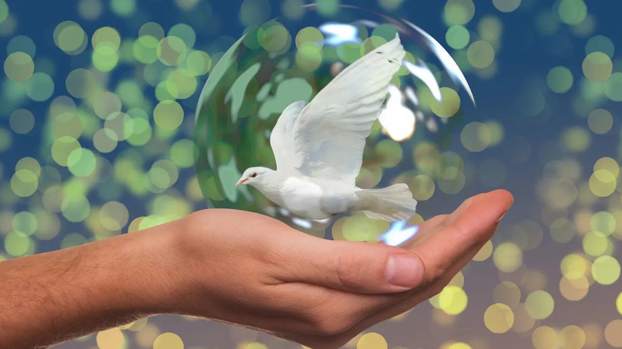 peace-dove-2489589_1920 (Foto: pixabay)